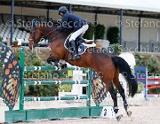 Del Covillo Mirage GioCav2013 S5 2295 : Campionati Italiani Giovani Cavalli, Cattolica, Del Covillo Fabio, Mirage, ph Stefano Secchi ©